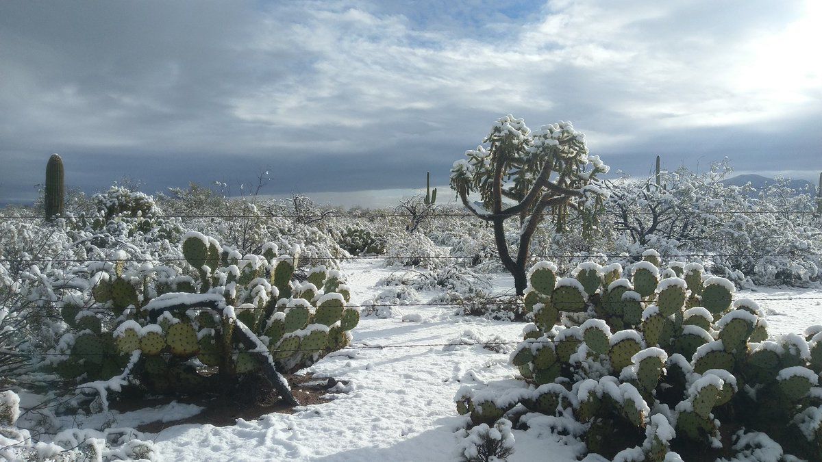 Snow in Sahuarita